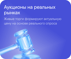 Auctions on real markets